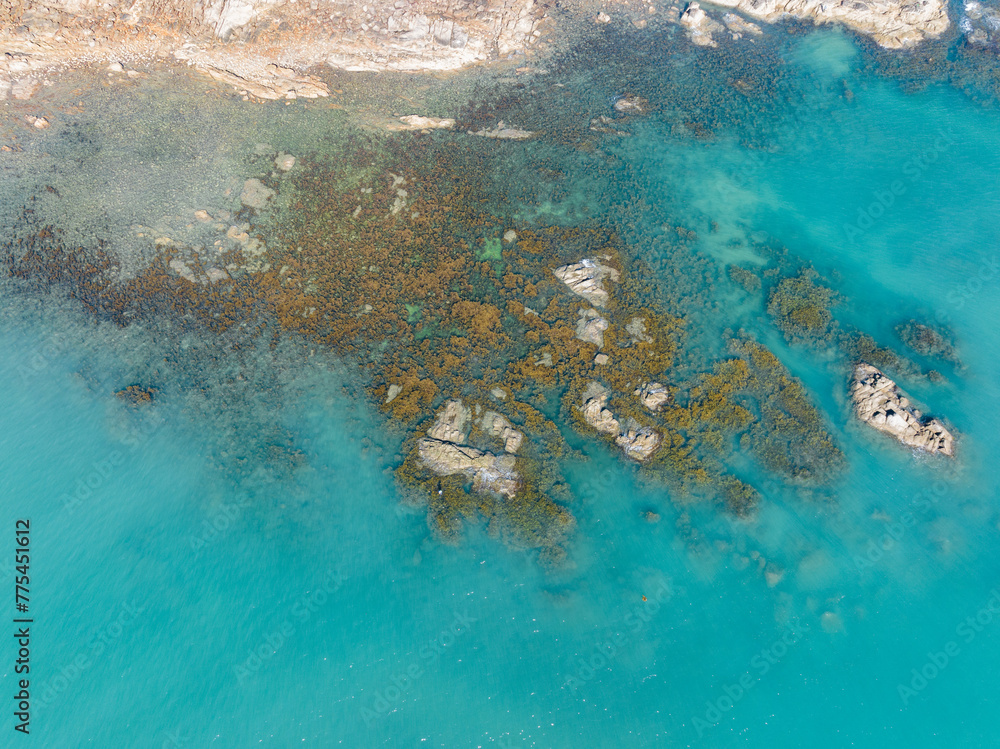 Aerial photography of seaweed on the coast of Qizi Bay, Changjiang, Hainan, China