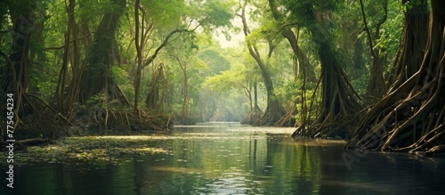 A serene river meanders through a dense and vibrant green forest  surrounded by an abundance of lush foliage and trees