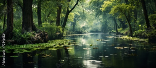 A serene river gently flows through a lush forest, dotted with beautiful water lillies and surrounded by tall trees and greenery