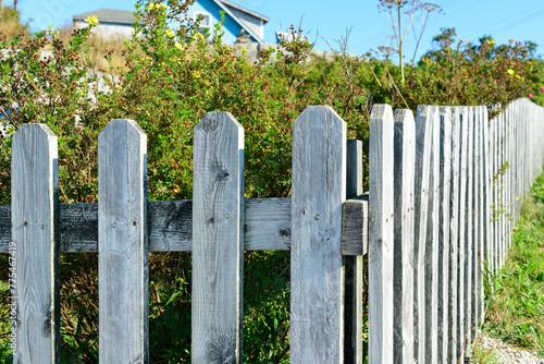 Corner of a wood picket fence with grey faded boards. The structure has been exposed to the weather elements with white paint peeling. Behind the barrier is a lush green shrub or hedge and a blue sky.