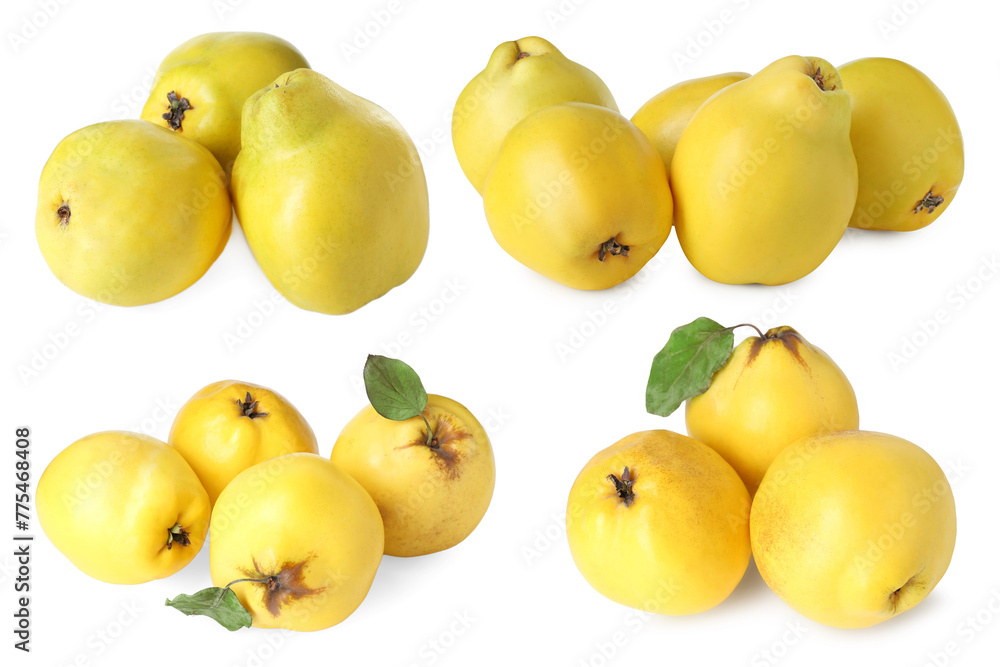 Fresh ripe quince fruits isolated on white, set