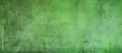 A black and white cat is sitting in front of a lush green wall, creating a striking contrast with its fur markings