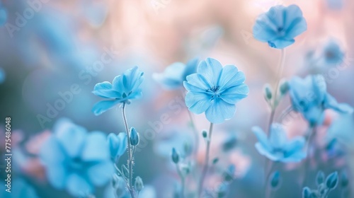 Delicate blue flowers blooming amidst green grass under soft natural light