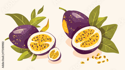 Passion fruit icon 2d flat cartoon vactor illustrat