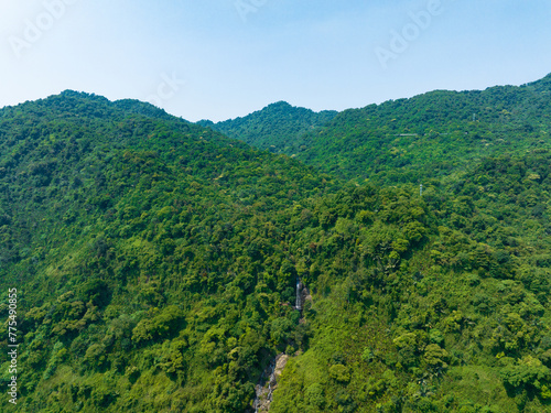 海南琼中百花岭热带雨林