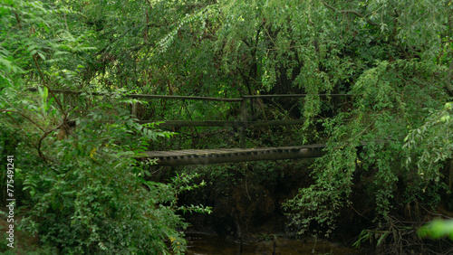 Fototapeta Naklejka Na Ścianę i Meble -  wooden bridge in the forest 