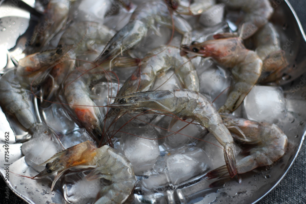 Raw Shrimps on ice cube. Top View. 