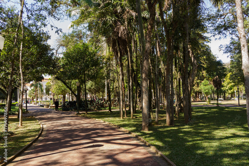 Alameda no Parque José Affonso Junqueira - POÇOS DE CALDAS, MG, BRAZIL - JULY 18, 2023: Path in José Affonso Junqueira Park, designed by architect and landscaper Reynaldo Dieberger.