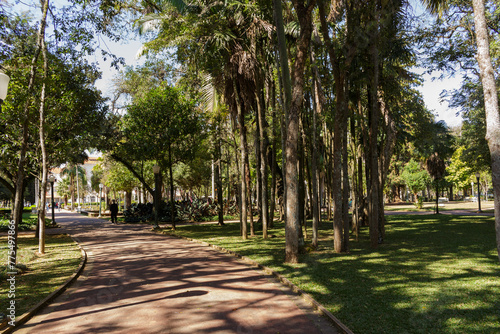 Alameda no Parque José Affonso Junqueira - POÇOS DE CALDAS, MG, BRAZIL - JULY 18, 2023: Path in José Affonso Junqueira Park, designed by architect and landscaper Reynaldo Dieberger. photo