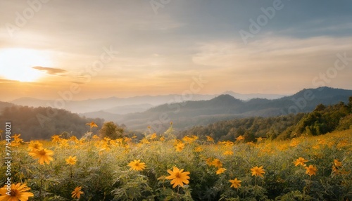 tithonia diversifolia mexican sunflower with beautiful landscape view in thailand photo