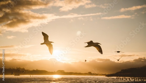 birds in flight © Adrian