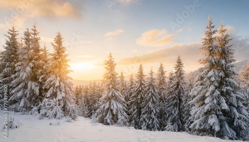 winter landscape wallpaper with pine forest covered with snow and scenic sky at sunset snowy fir tree in beauty nature scenery christmas and new year greeting card background © Adrian
