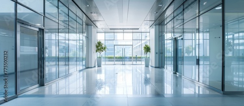 A modern hallway featuring glass walls and a decorative planter © Emin