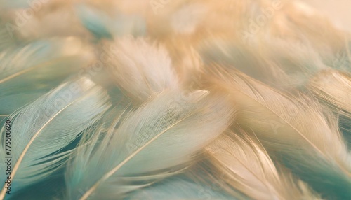 gorgeous texture background with a dark green blue feather pattern