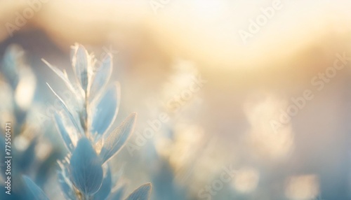 template herbal background in blue blurred tones gently blue abstract nature background
