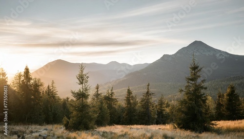 coniferous trees grow in highland against giant mountains