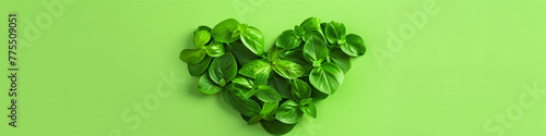 A heart-shaped green plant stands out against a vibrant green background in a flat style design illustration. Banner. Copy space. World Health Day.
