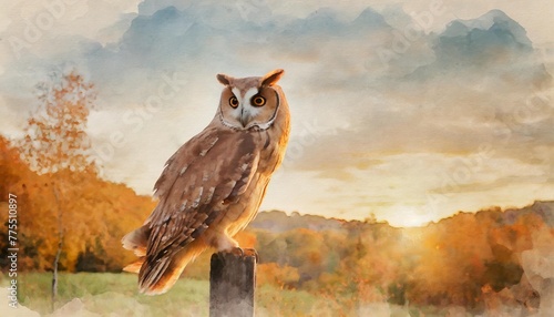 a minimal watercolor of an owl in an autumn setting photo