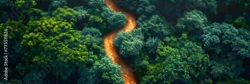 Aerial View of Path Leading Through Forest  Drone view of a greenery forest with a dirt road