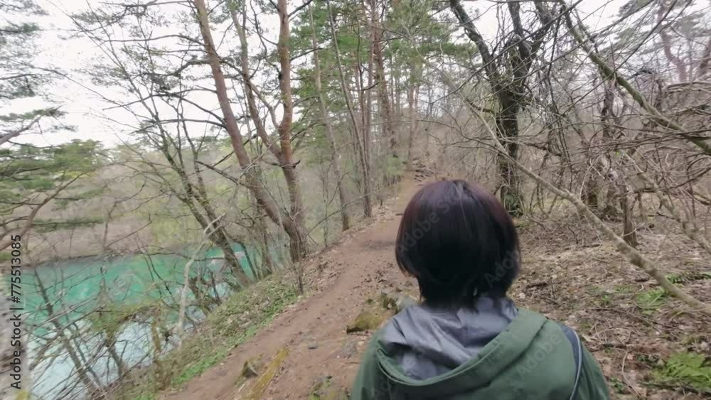 森の中を歩く女性の後ろ姿 森の中を歩く女性の後ろ姿