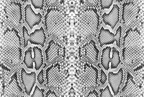 Photos Snake skin pattern and repeating Seamless