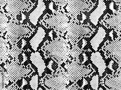 Snake skin pattern and repeating Seamless. Animal print and textile design. illustration. Texture snake. Fashionable print.
