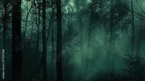 Enigmatic forest. dark green and black colors  mystical atmosphere with rembrandt studio lighting