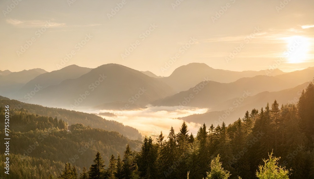 the mountains are covered in a layer of mist which is thicker in the valleys and thinner on the peaks the foreground consists of a dense forest of coniferous trees