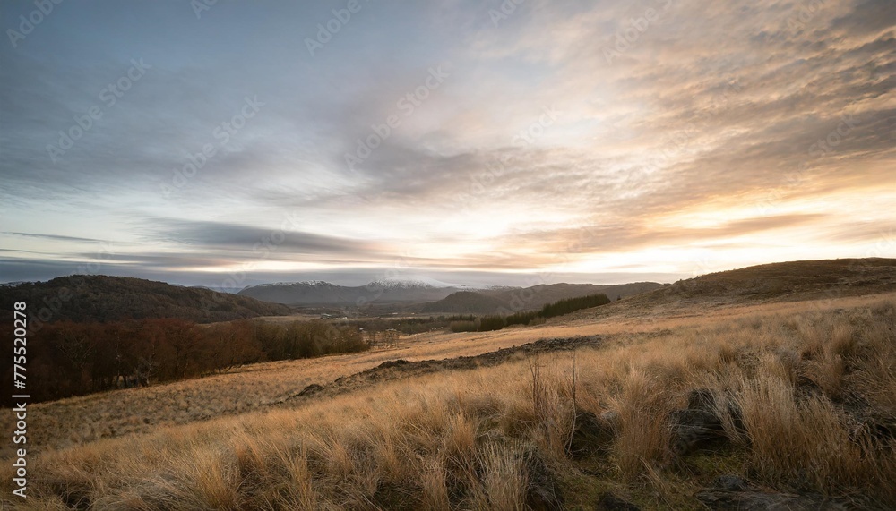 paysage de nature au crepuscule