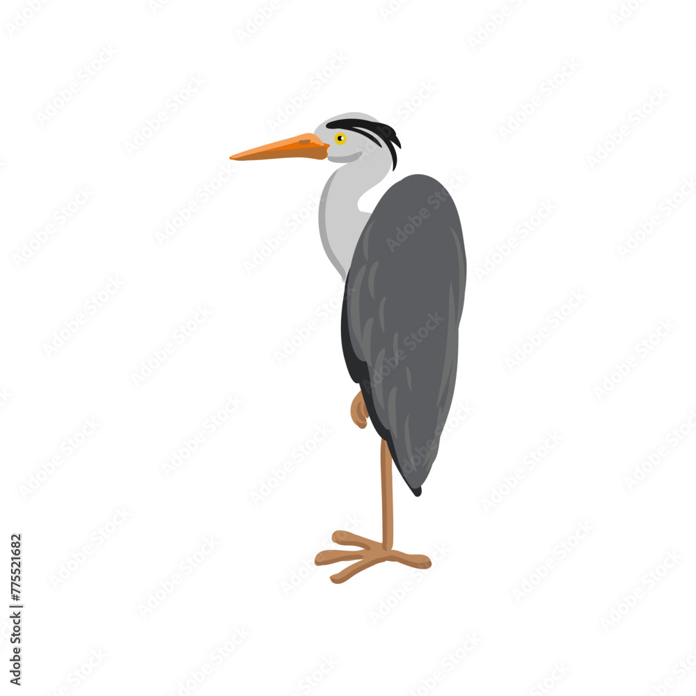 Naklejka premium vector drawing grey heron, wild bird isolated at white background, hand drawn illustration