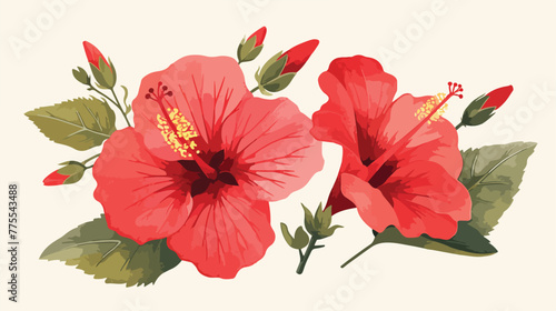 Hibiscus. Hand-drawn flower. Real watercolor drawin