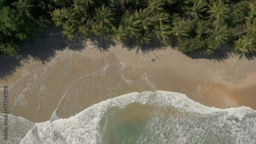Yarra Beach, Blanchisseuse. Trinidad and Tobago. Vertical orientation possible. bird's-eye-view aerial drone of to people walking on shoreline photo