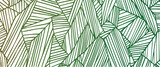 vector background with patern green bamboo