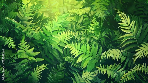 Dense green ferns in a midsummer forest  nature illustration
