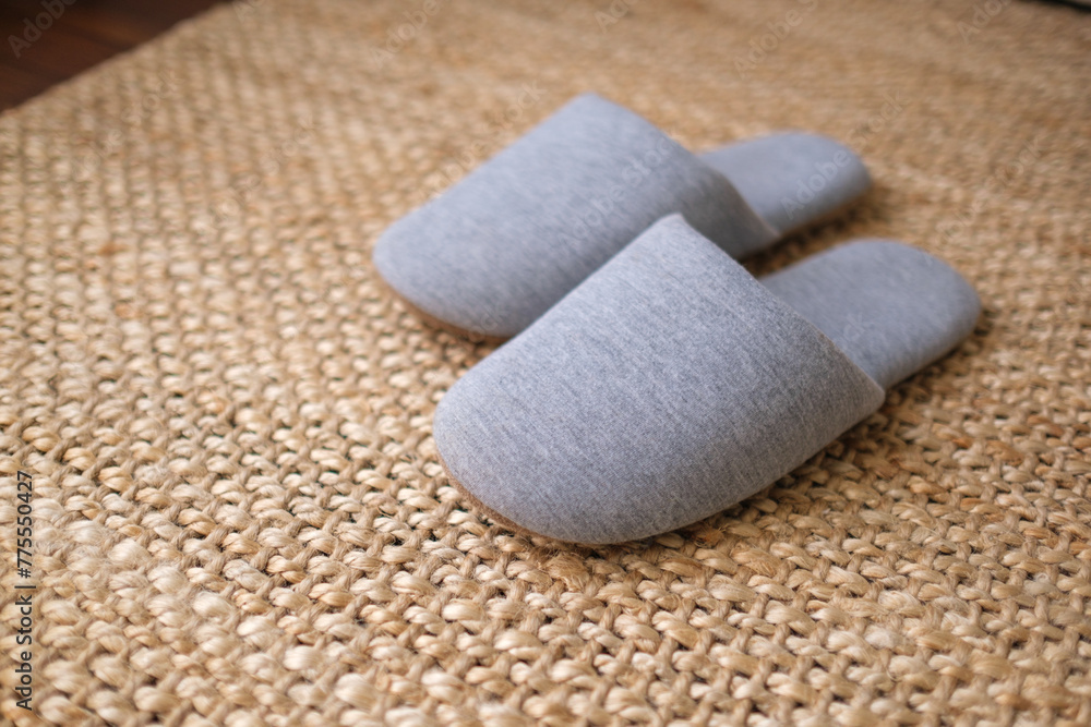 Closeup of a pair of house slippers Closeup of a pair of house slippers