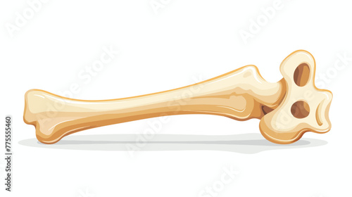 Illustration of bone on white 2d flat cartoon vacto