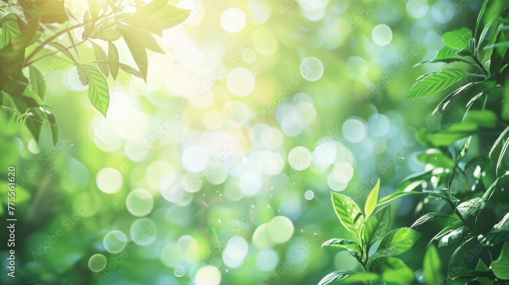 Nature's defocused spring and summer background with lush foliage and bokeh Nature's defocused spring and summer background with lush foliage and bokeh