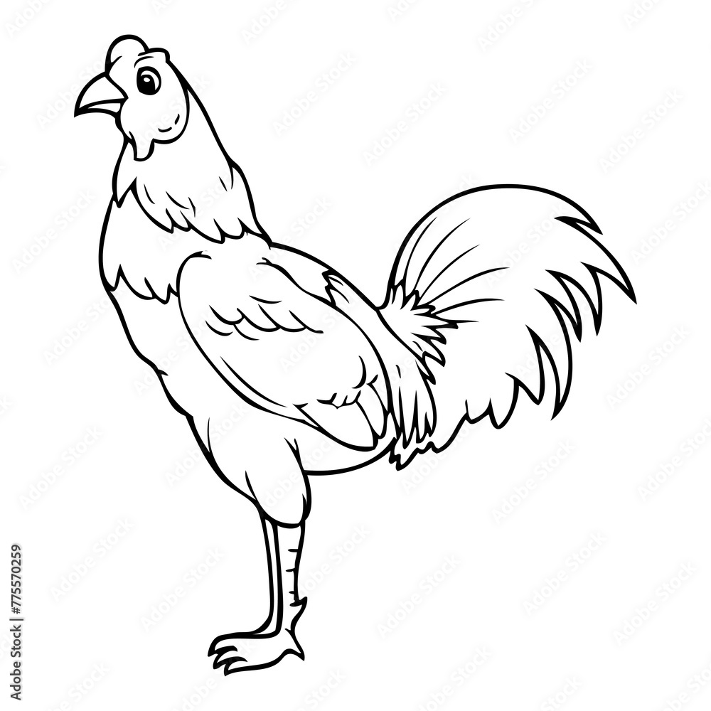 rooster outline vector illustration