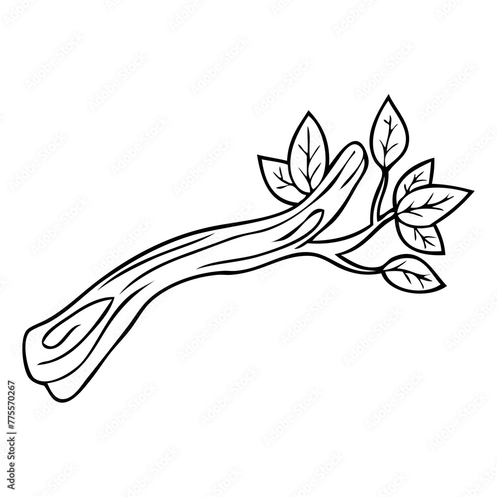 twigs outline vector illustration