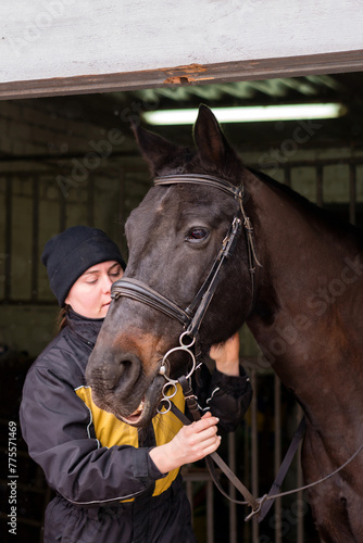 Affectionate moment between horse and person in stable