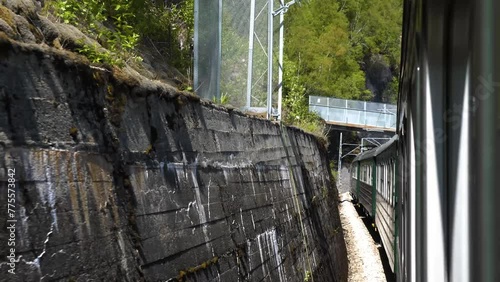 The train goes to the mountain gorge. Norway