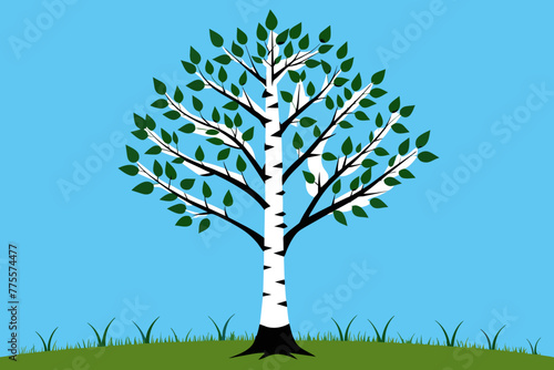 Birch tree vector design