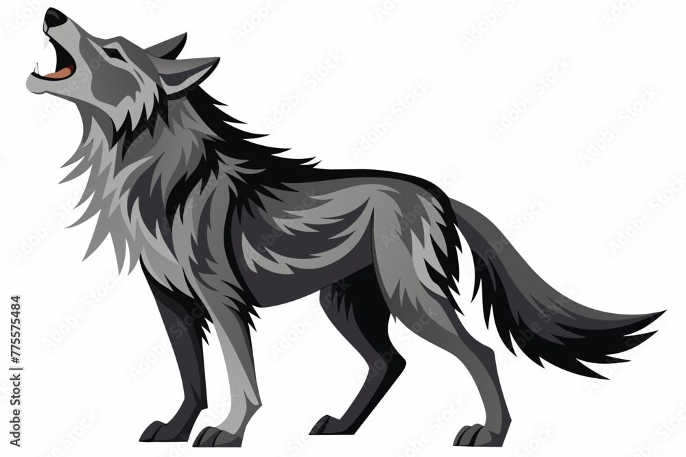 Fototapeta premium the wolf howling white background 