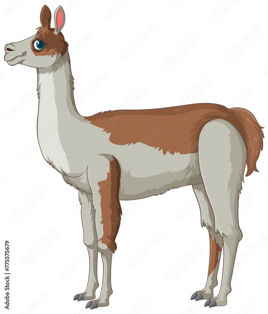 Fototapeta premium Colorful cartoon llama standing in profile view