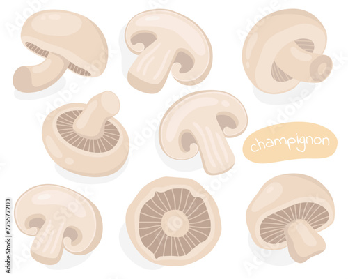 Champignon. Mushrooms. Tasty mushrooms, ingredients. Half, piece and whole mushroom.