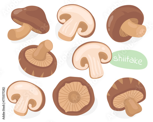 Shiitake. Asian mushrooms. Tasty mushrooms, ingredients. Half, piece and whole mushroom.