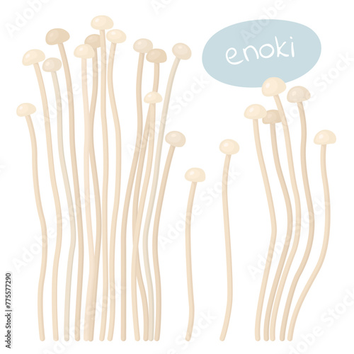 Enoki. Asian mushrooms. Tasty mushrooms, ingredients.
