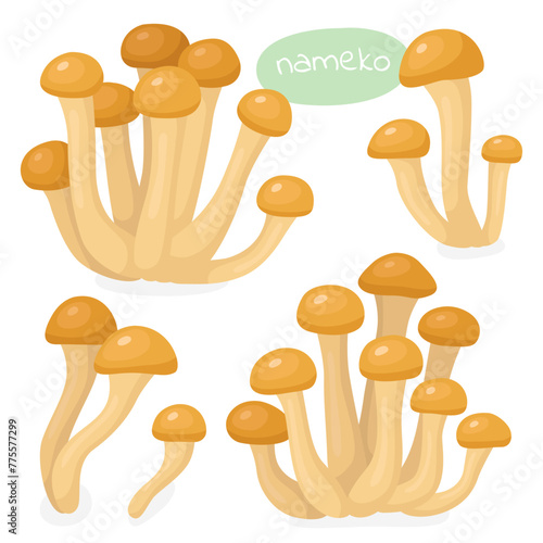 Nameko. Asian mushrooms. Tasty mushrooms, ingredients.