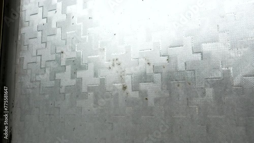 mold on the window