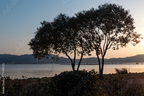 琵琶湖の夕焼け 夕陽 サンセット オレンジに染まる湖 滋賀県草津市